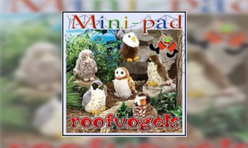 Plaatje Mini-pad roofvogels