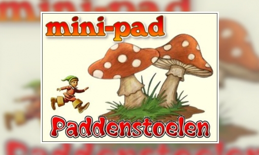 Mini-pad paddenstoelen