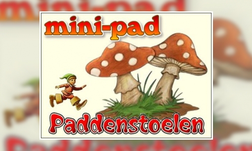 Plaatje Mini-pad paddenstoelen