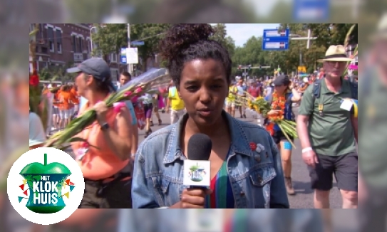 Plaatje Vierdaagse Nijmegen