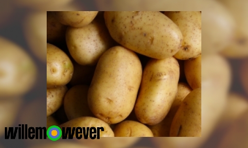 Plaatje Waarom zijn wij Nederlanders zo dol op aardappelen?