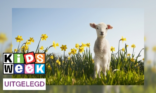 Plaatje Vandaag begint de lente, en niet op 21 maart