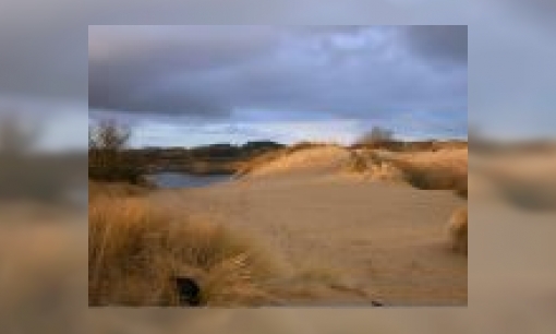 Plaatje Nationaal park Zuid-Kennemerland