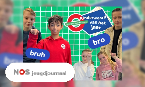 Plaatje De finale van het Kinderwoord van 2024: bruh of bro?