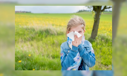 Plaatje Spreekbeurt over allergie