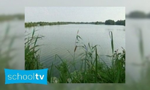 Plaatje Landschap laagveen