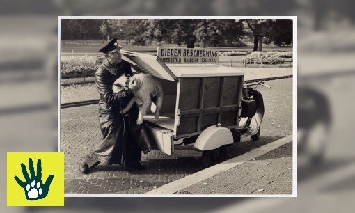 Spreekbeurt over de geschiedenis van de Dierenbescherming