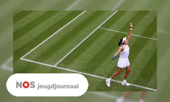 Plaatje Drie vragen over tennistoernooi Wimbledon