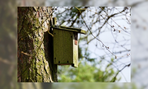 Nestkasten en nestelplaatsen