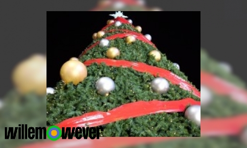 Plaatje Waarom kopen mensen een kerstboom?