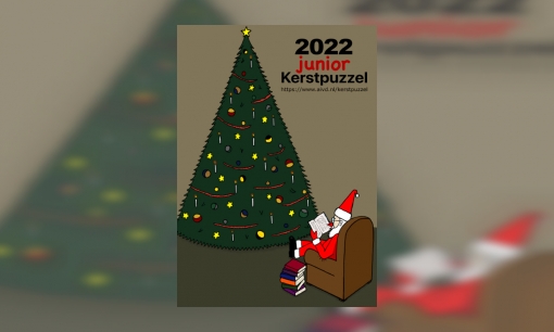 Plaatje AIVD juniorkerstpuzzel 2022