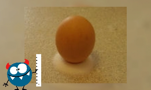 Plaatje Kun jij een ei rechtop zetten zonder het te breken?