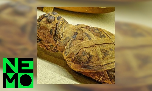 Plaatje Waarom beeldden de oude Egyptenaren zo vaak katten af?