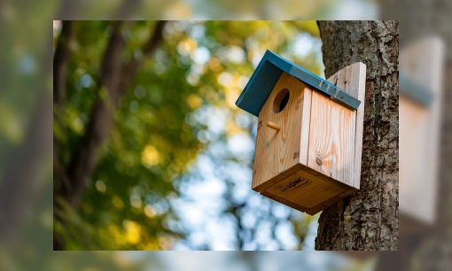 Zo maak je een vogelhuisje