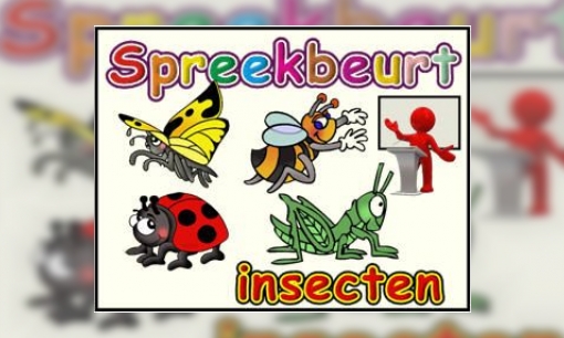 Spreekbeurt Insecten