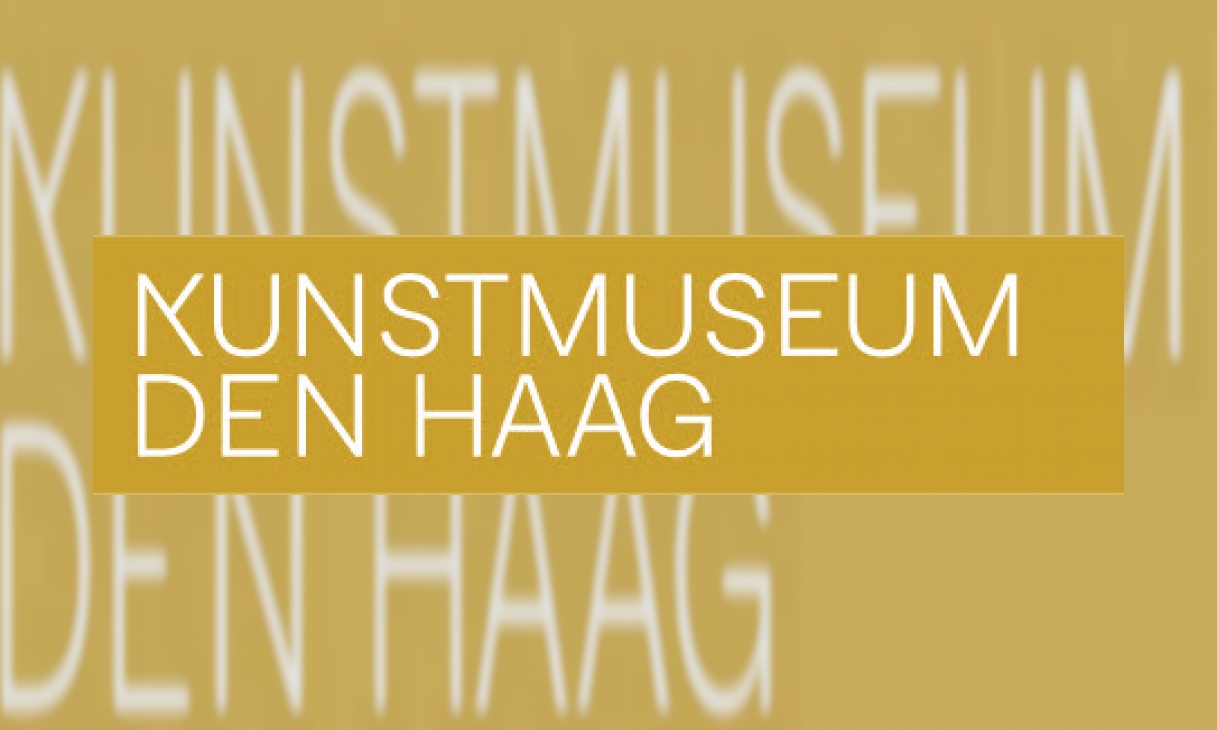 Plaatje Kunstmuseum Den Haag