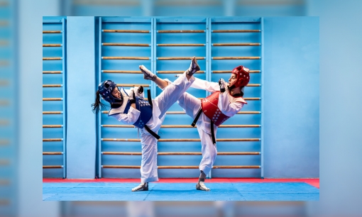 Plaatje Wat is Taekwondo?