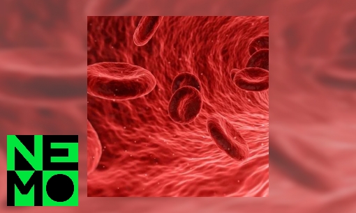 Plaatje Waarom is bloed rood?