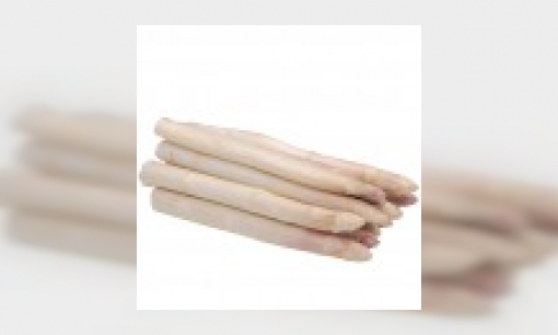 Asperge