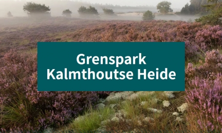 Plaatje Nationaal park De Zoom-Kalmthoutse Heide