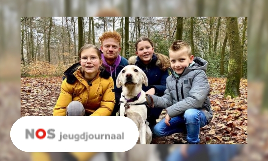 Jill, Luna en Kjeld zorgen voor een hulp-puppy