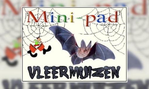 Mini-pad vleermuizen