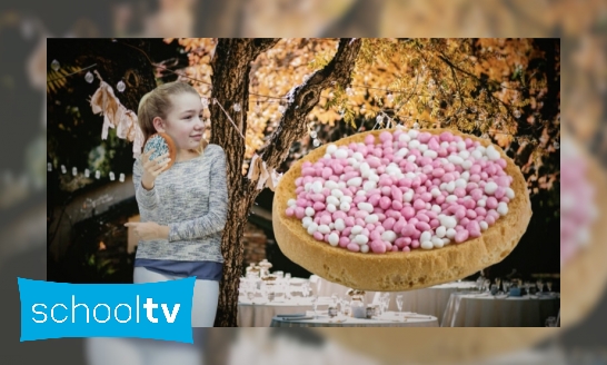 Plaatje Waarom eten we beschuit met muisjes als er een baby is geboren?