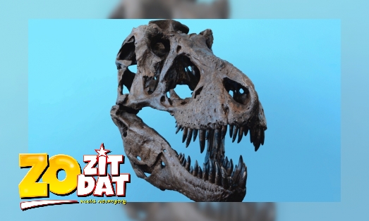 Plaatje Wie vond de eerste dinobotten?