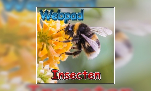 Plaatje Webpad insecten