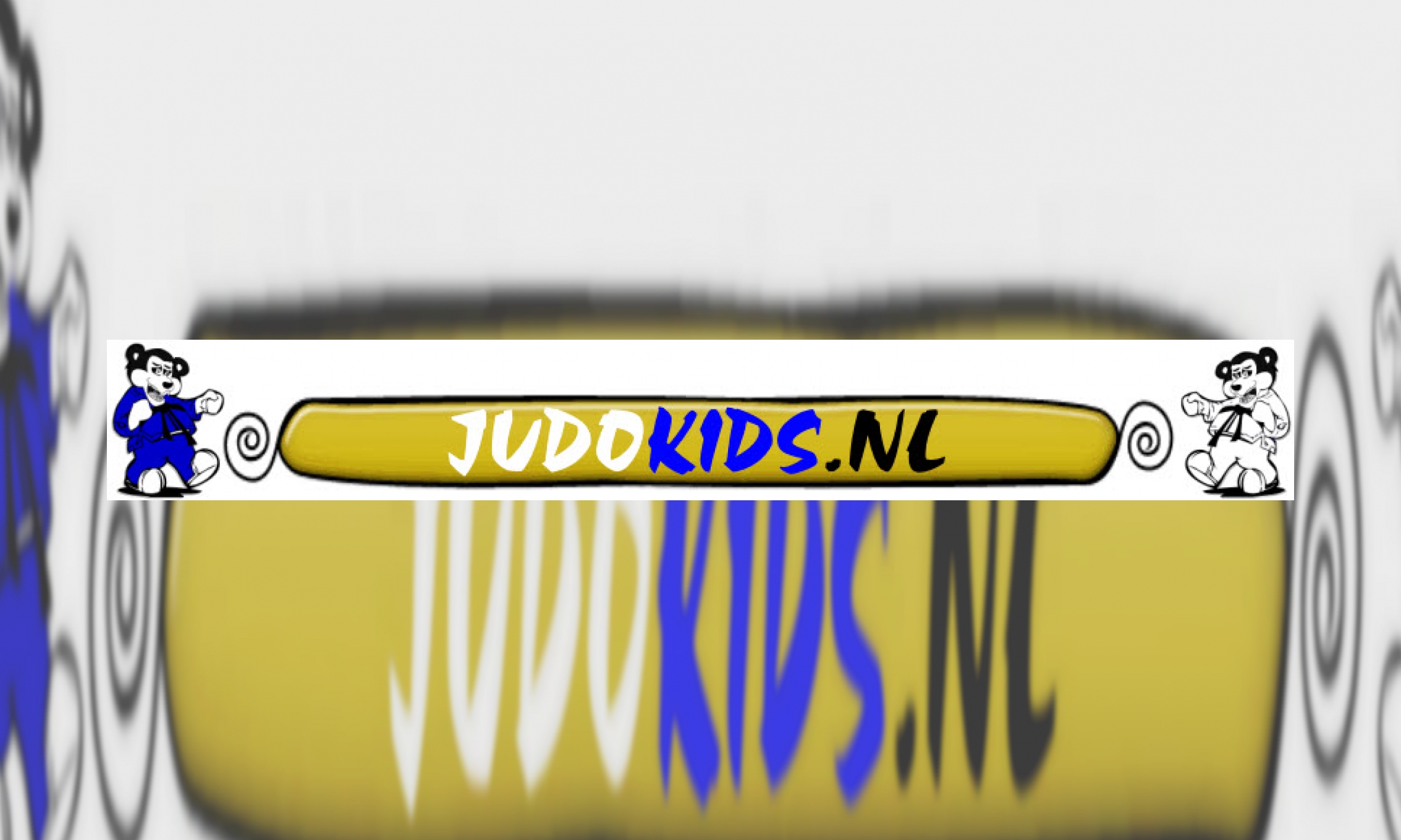 Plaatje Judokids