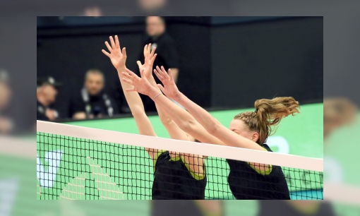 Plaatje Spreekbeurtpakket volleybal