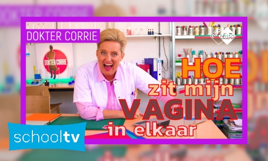 Hoe zit mijn vagina in elkaar?