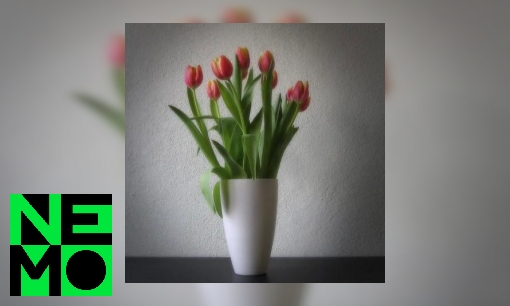 Plaatje Hoe kunnen tulpen in een vaas doorgroeien?