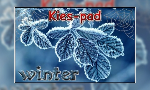 Kies-pad Winter