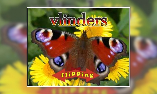 Plaatje Flipping - Vlinders