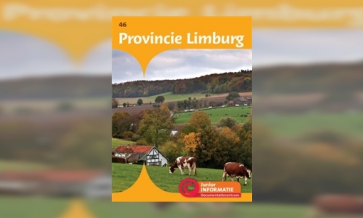 Plaatje Provincie Limburg