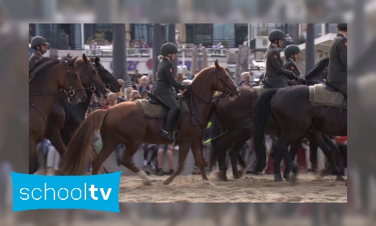 Plaatje Hoe train je paarden voor Prinsjesdag?