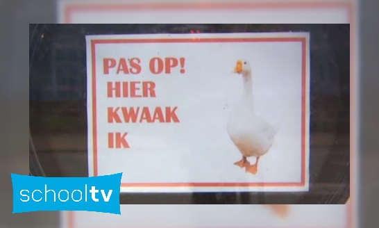 Plaatje Ganzen zijn goede bewakers - Is het snugger of kletspraat?