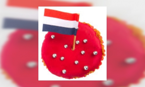 Plaatje Het Van Dale Oranje boekje