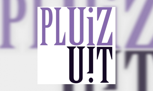 Pluizuit