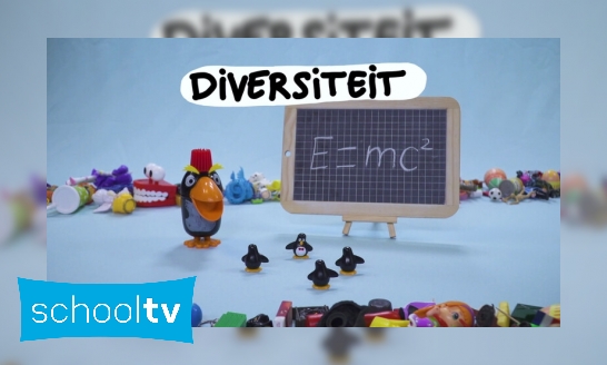 Plaatje Wat is diversiteit?