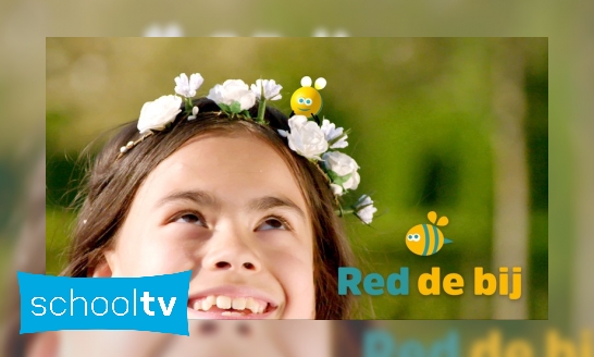 Red de bij (Kinderen voor Kinderen)