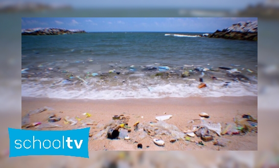 Plaatje Hoe komen we af van het plastic in de zee?