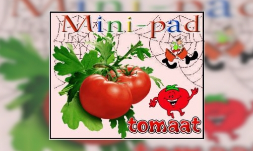 Plaatje Mini-pad tomaat