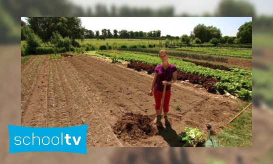 Plaatje Hoe begin je een moestuin?