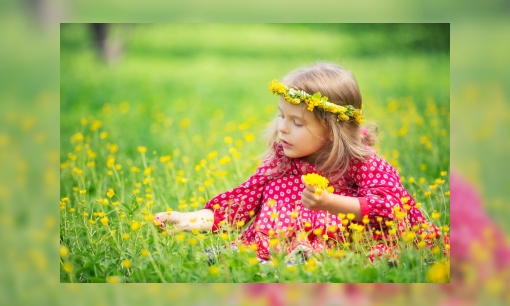 Plaatje Bloemenkrans voor Sint Jan