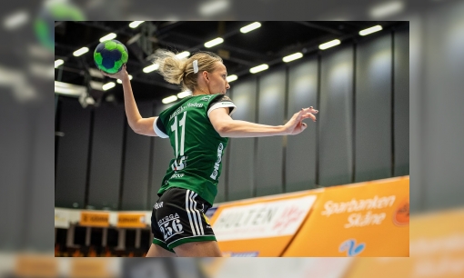 Plaatje Handbal