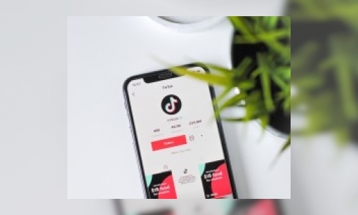 Plaatje Hoe krijg je meer volgers en views op TikTok?