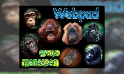 Plaatje Webpad grote mensapen