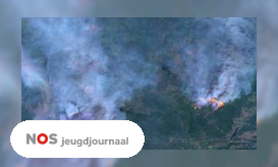 Plaatje Dit jaar al duizenden bosbranden in de Amazone